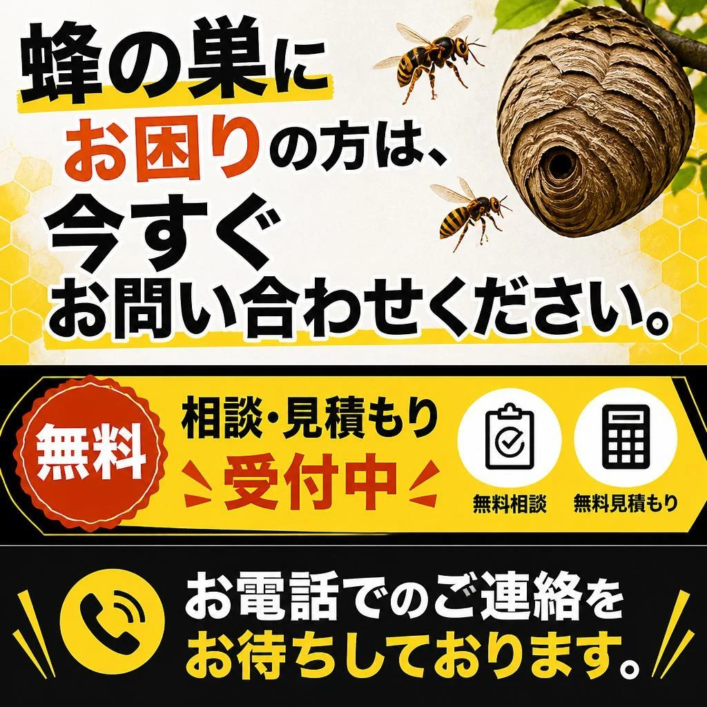 今すぐお問い合わせ！