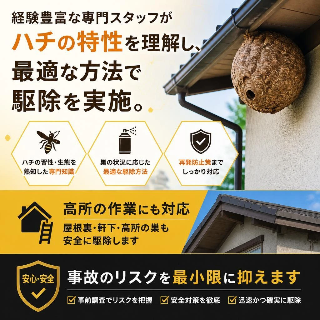 ハチ駆除のプロフェッショナル
