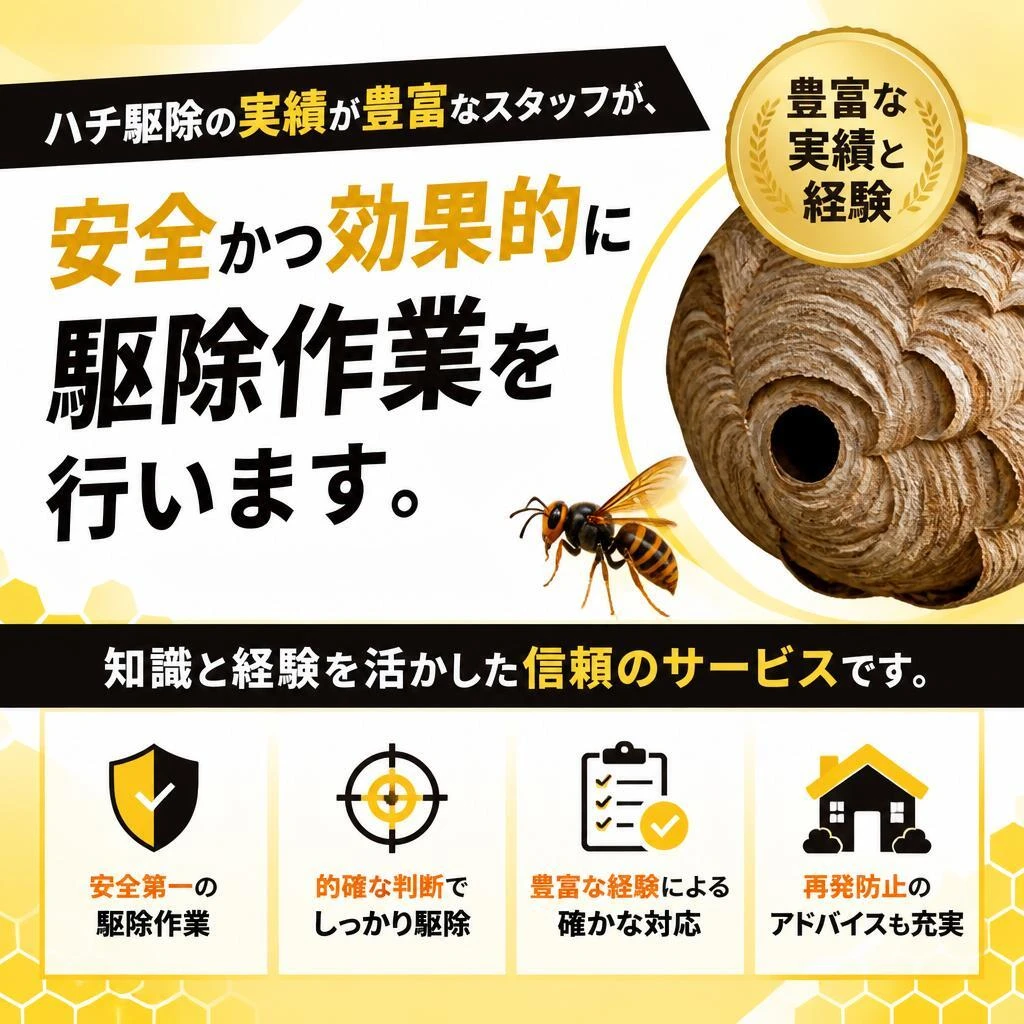 経験豊富な専門スタッフによる駆除