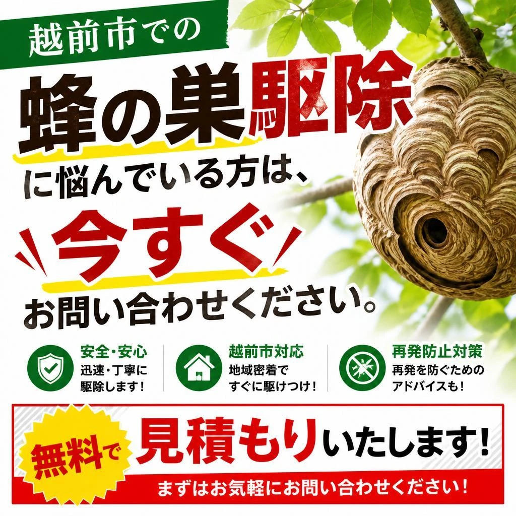 今すぐお見積もりを！