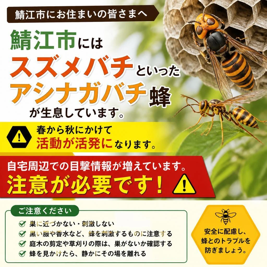 鯖江市の蜂の巣の現状
