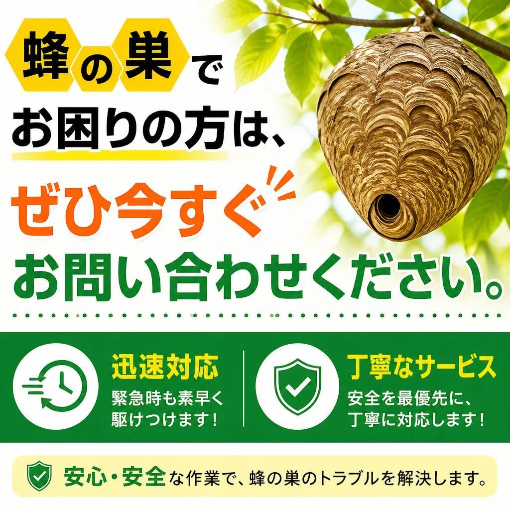 今すぐお問い合わせを！