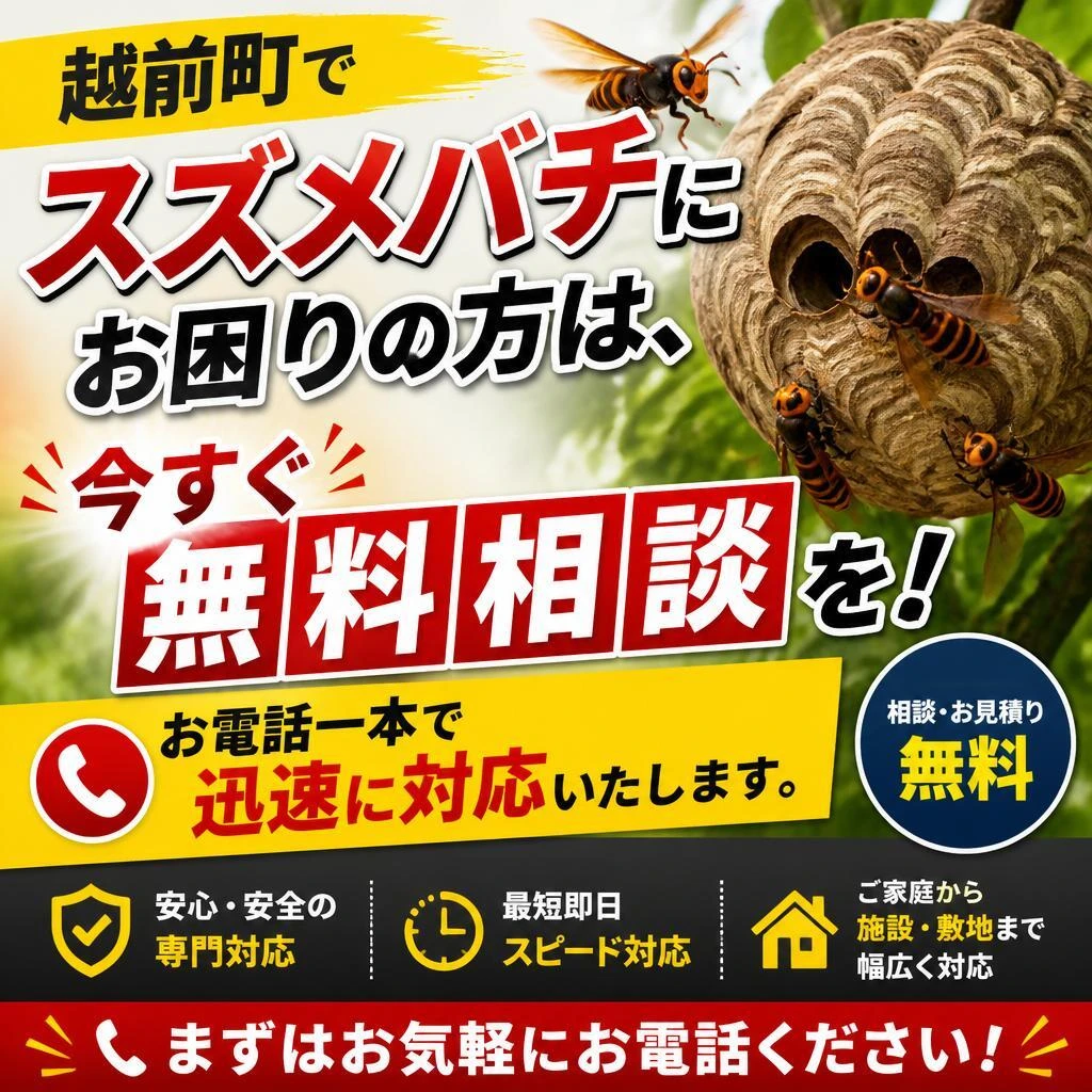 今すぐ無料相談を！