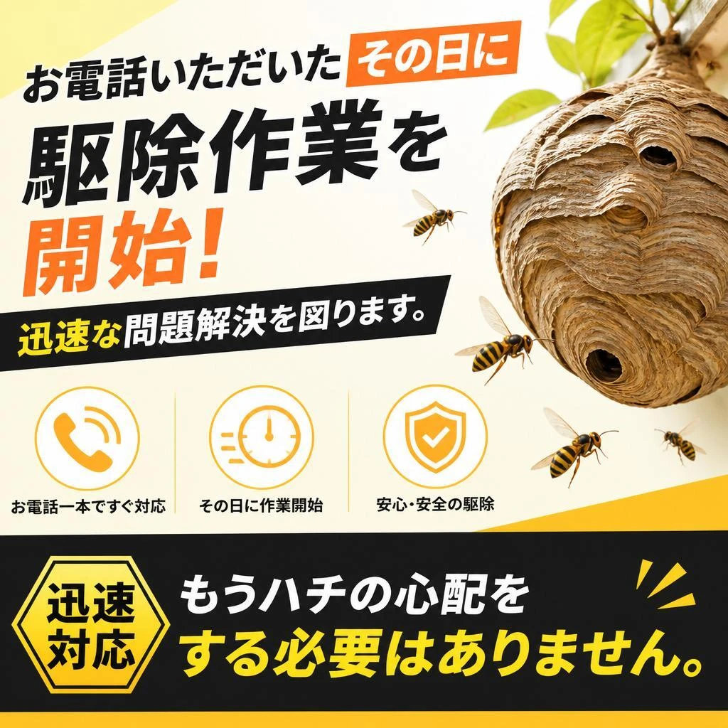 即日対応で迅速な駆除