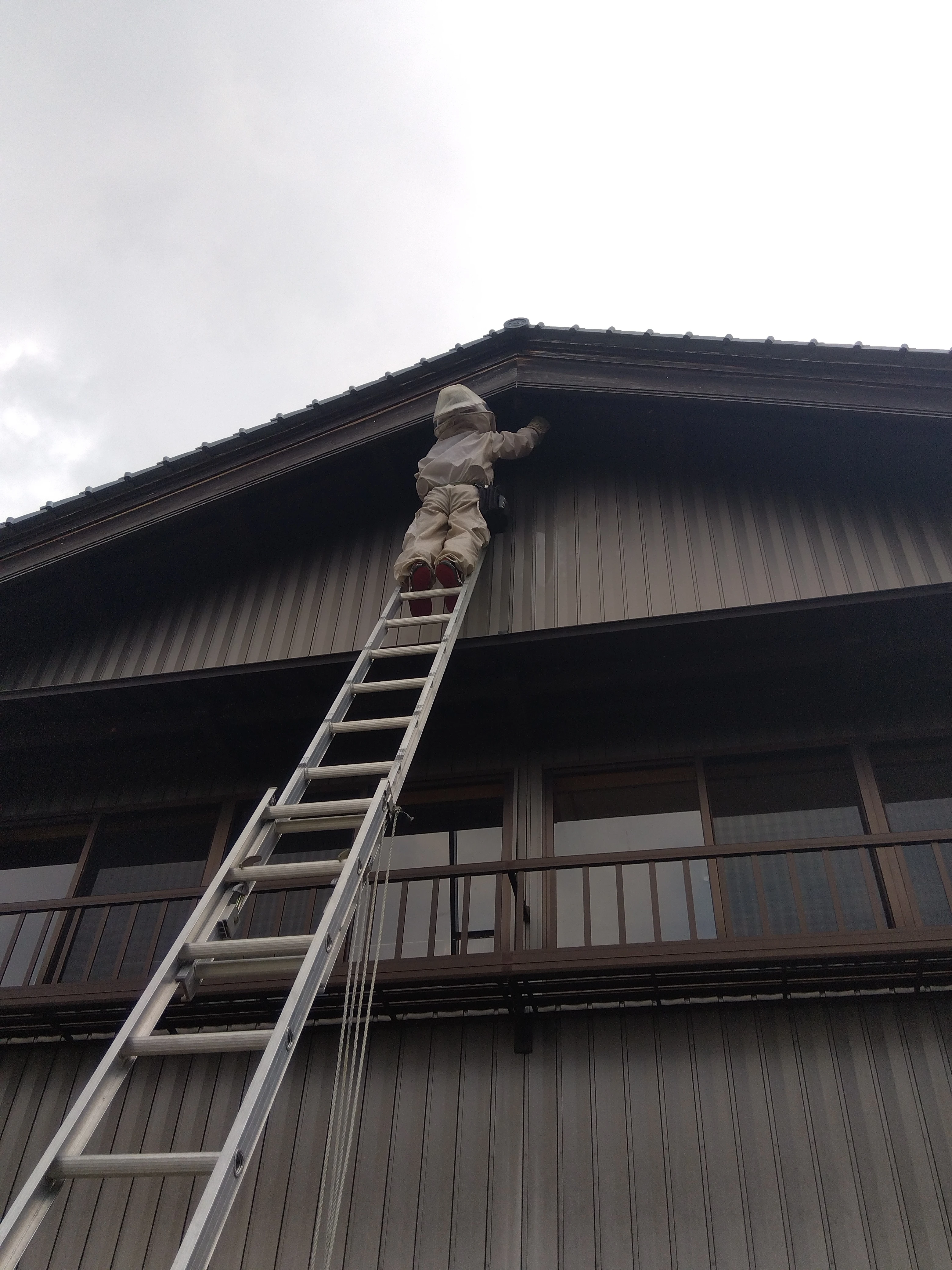 今すぐお問い合わせを！