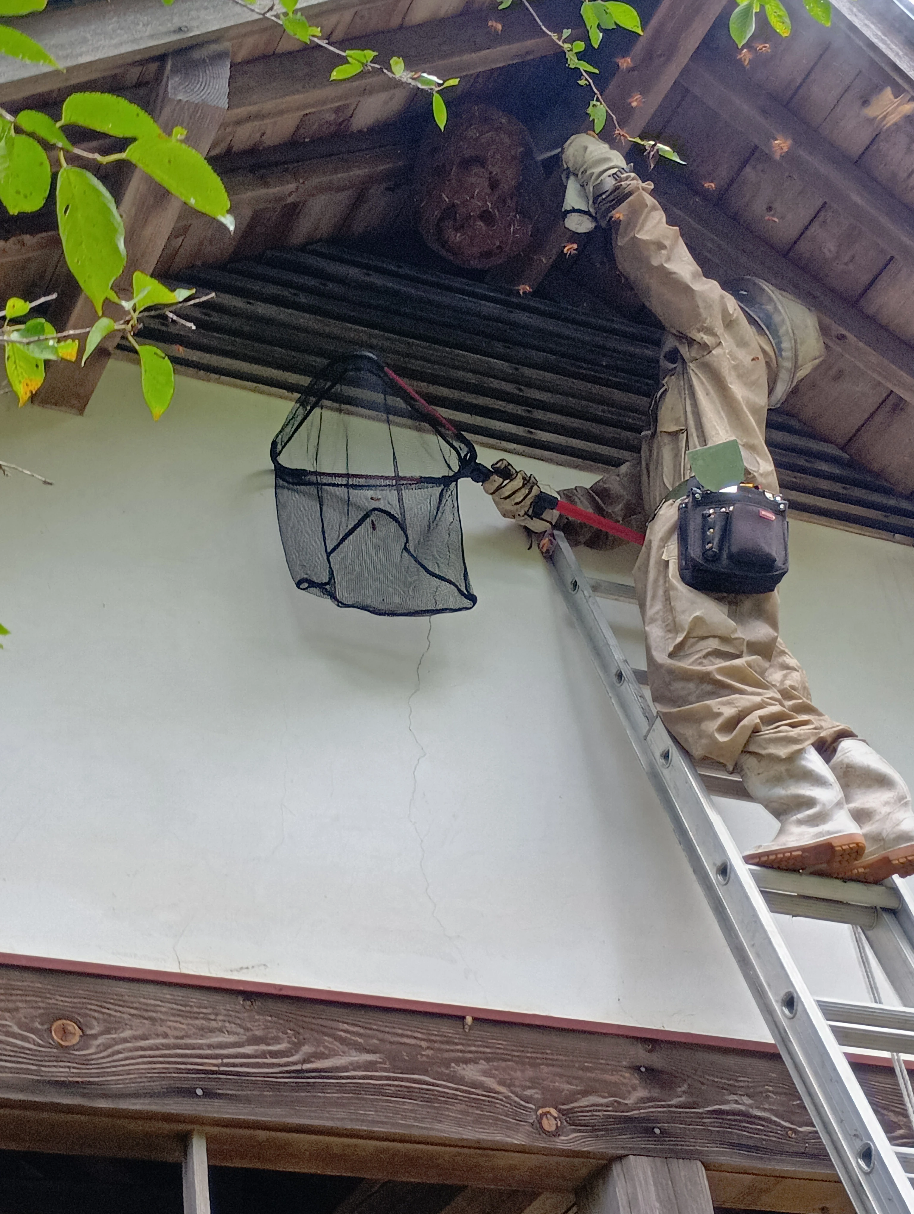 安全で迅速な駆除プロセス