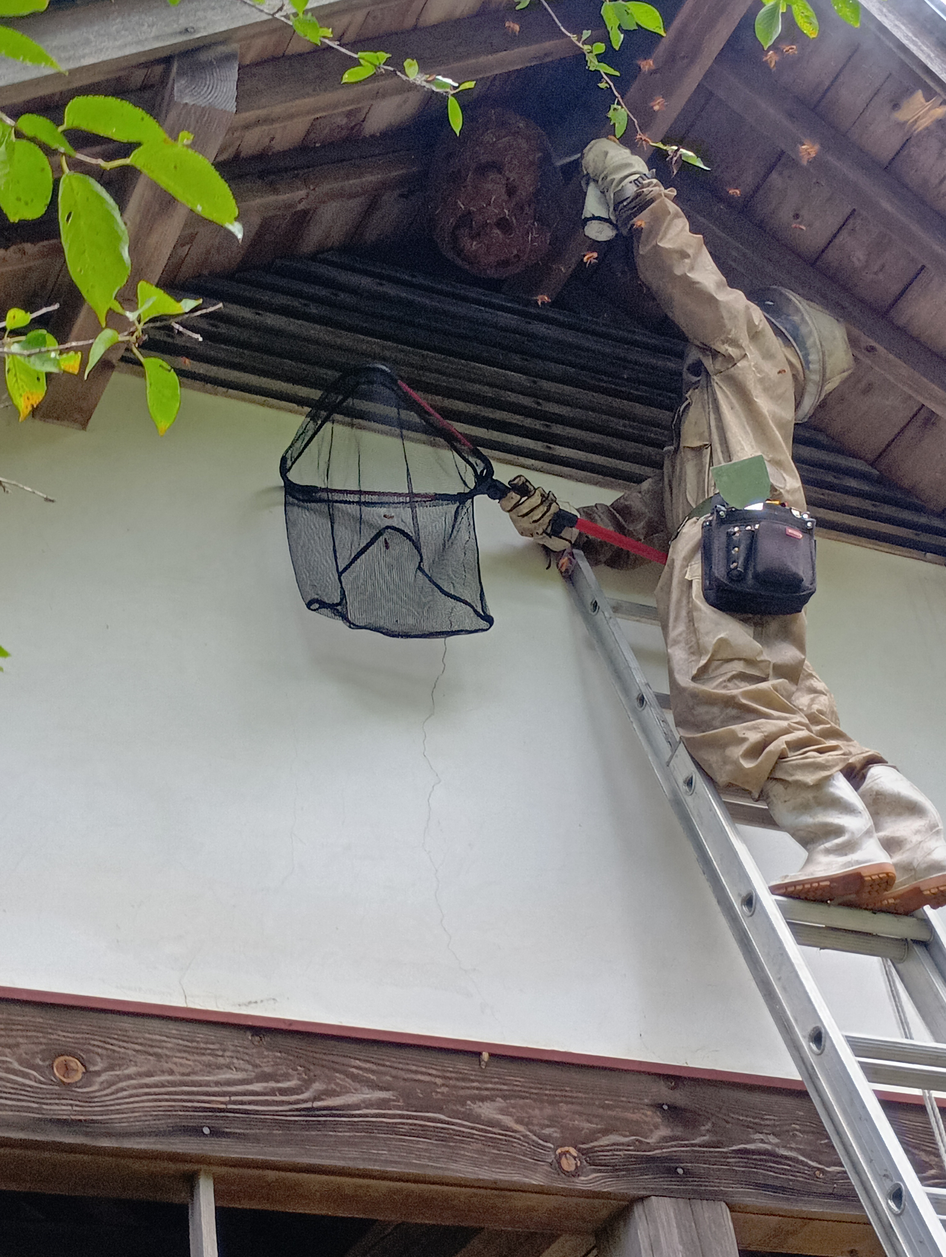 迅速な対応と丁寧な作業