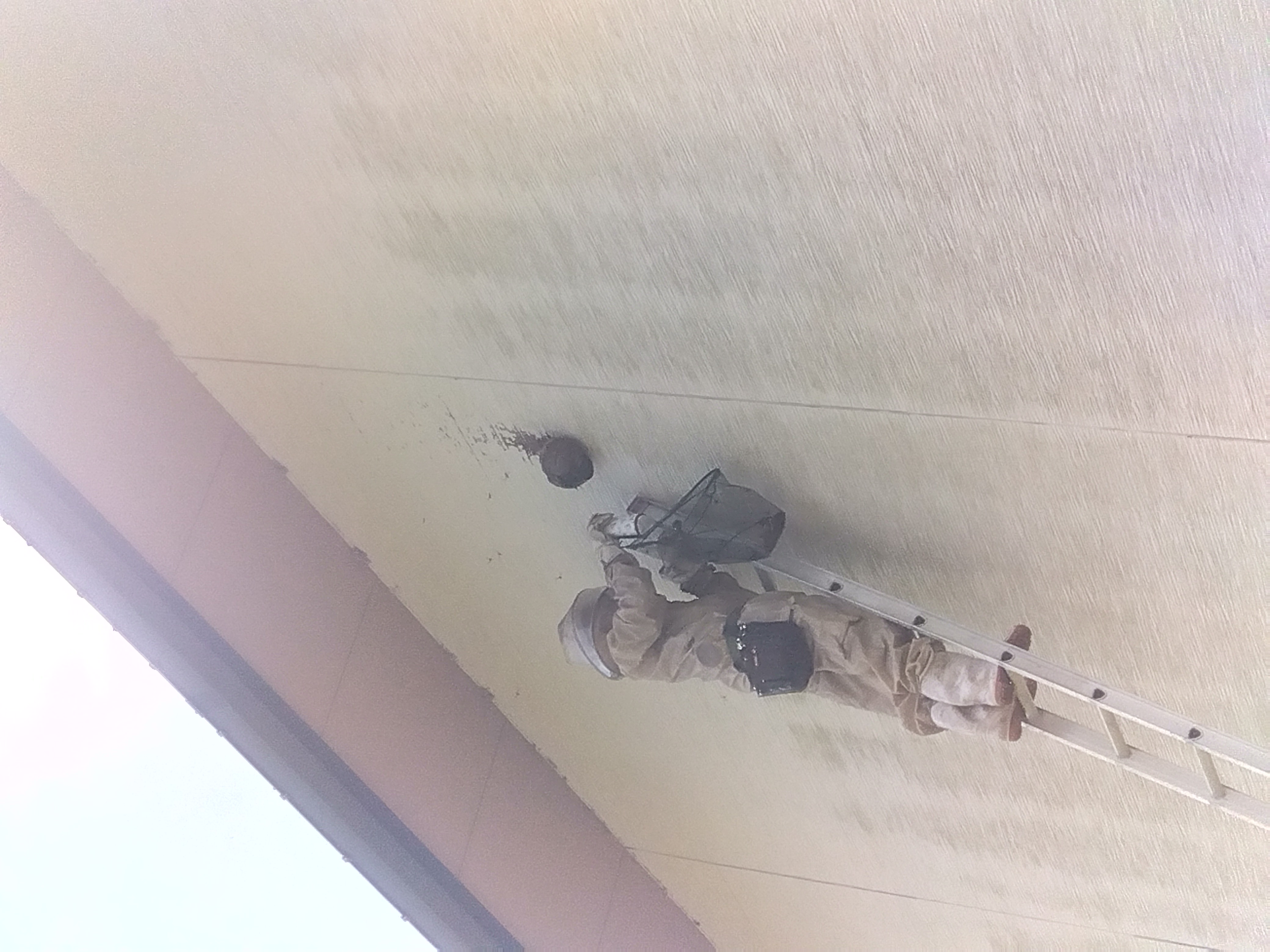 成功事例の紹介